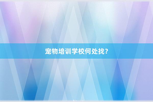 宠物培训学校何处找？