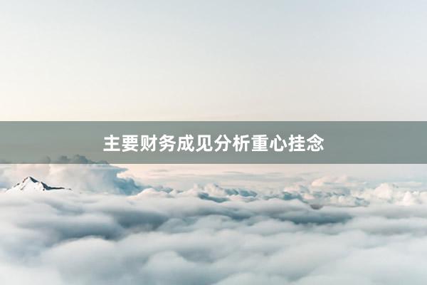 主要财务成见分析重心挂念